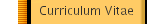 Curriculum Vitae
